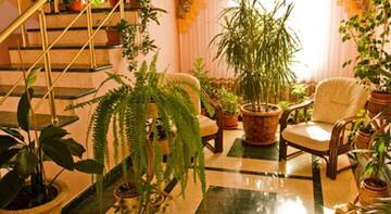 Фотографии Гостевой дом Diamond club haus г. Витязево Краснодарский край (Россия) №5 Фото Гостевой дом Diamond club haus г. Витязево 5